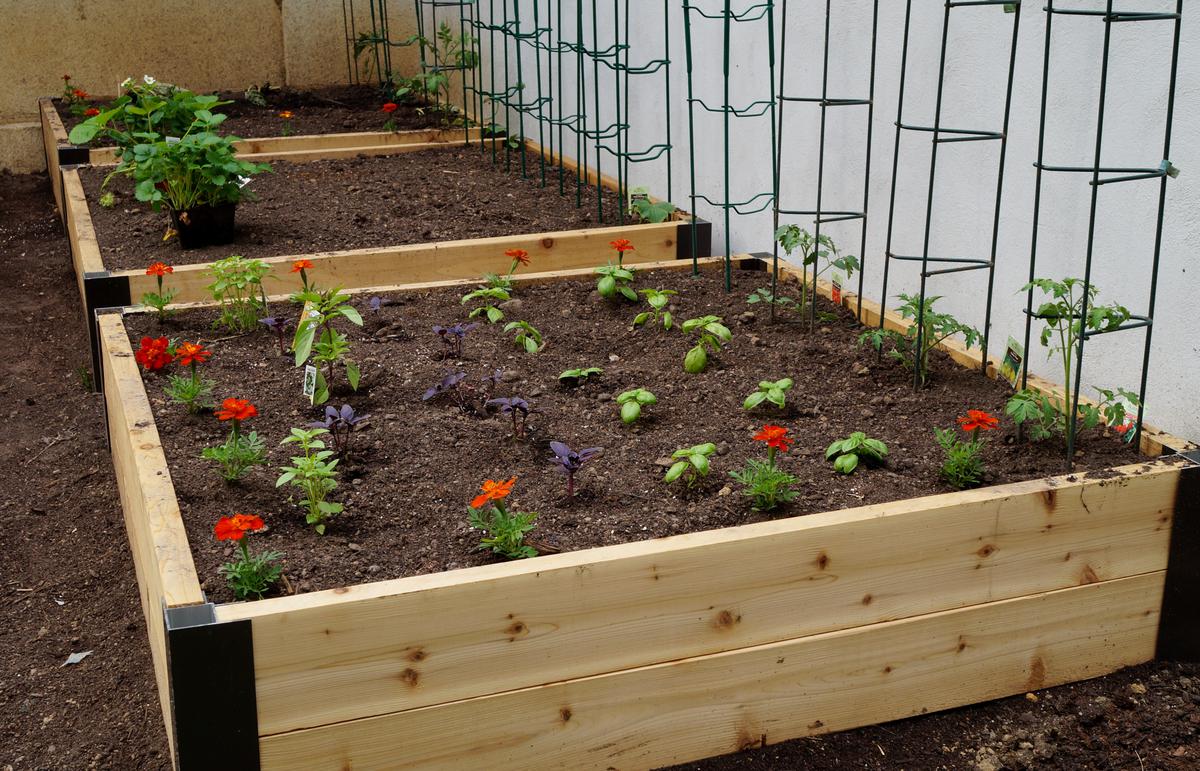 How to Channel Your Inner Gardener with a Raised Flower Bed