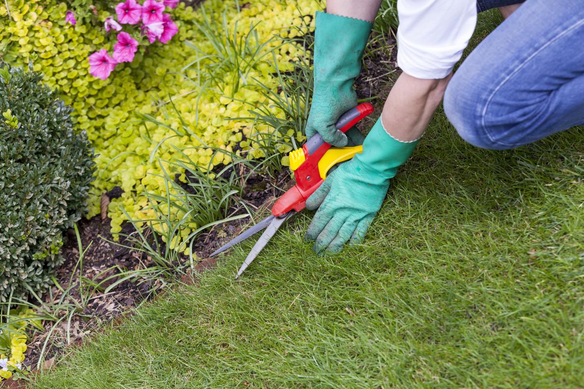 How to Keep Your Lawn Neat and Well-Defined