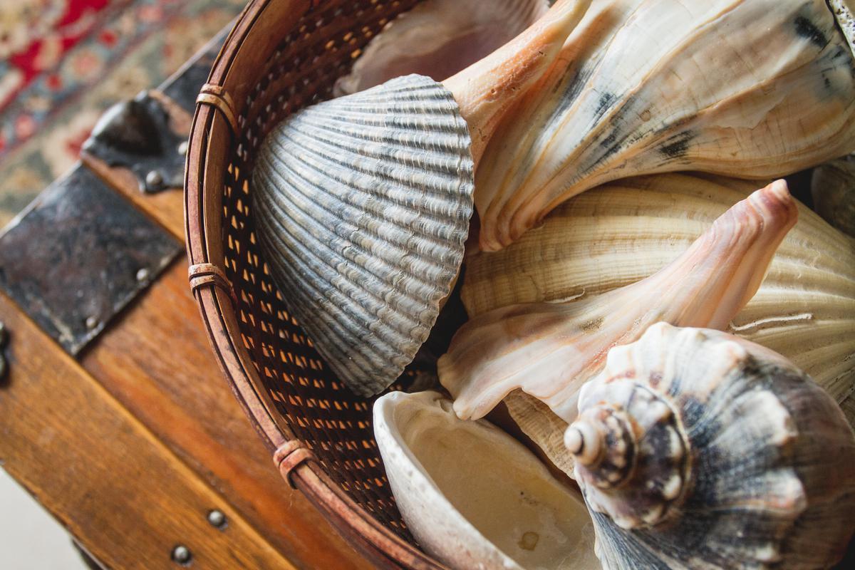 How to Use Shells to Spice Up Bedroom Decor