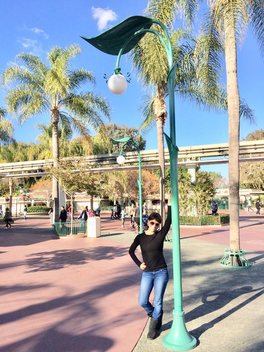 Disney California Adventure - Entry - Linda Allen