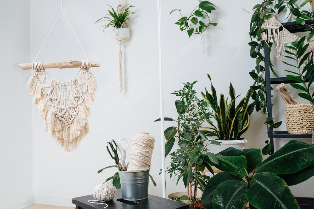 Incorporating Plantlife Into Your Bohemian Living Space