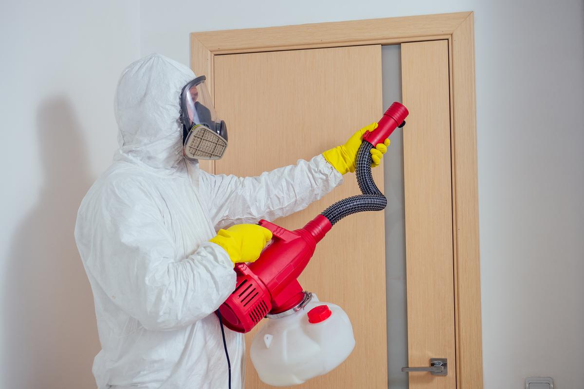 Keeping Pests From Entering Your Home