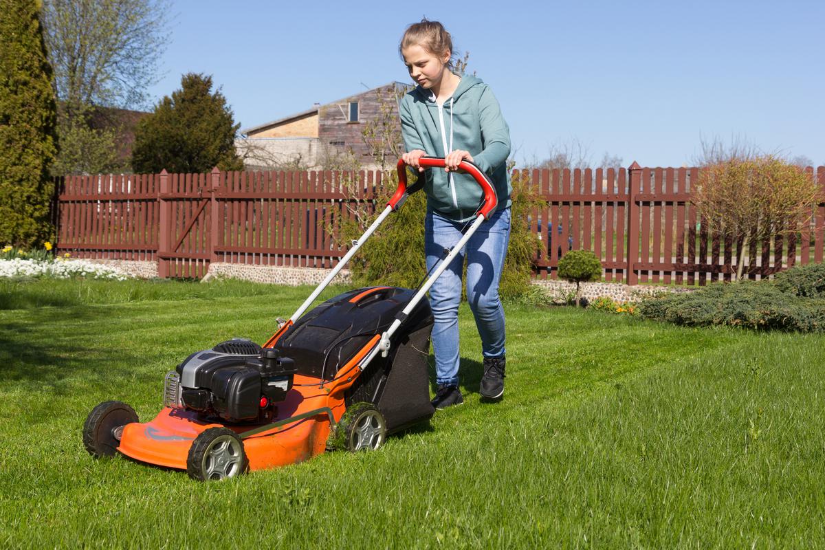 Keeping Your Lawn in Good Shape