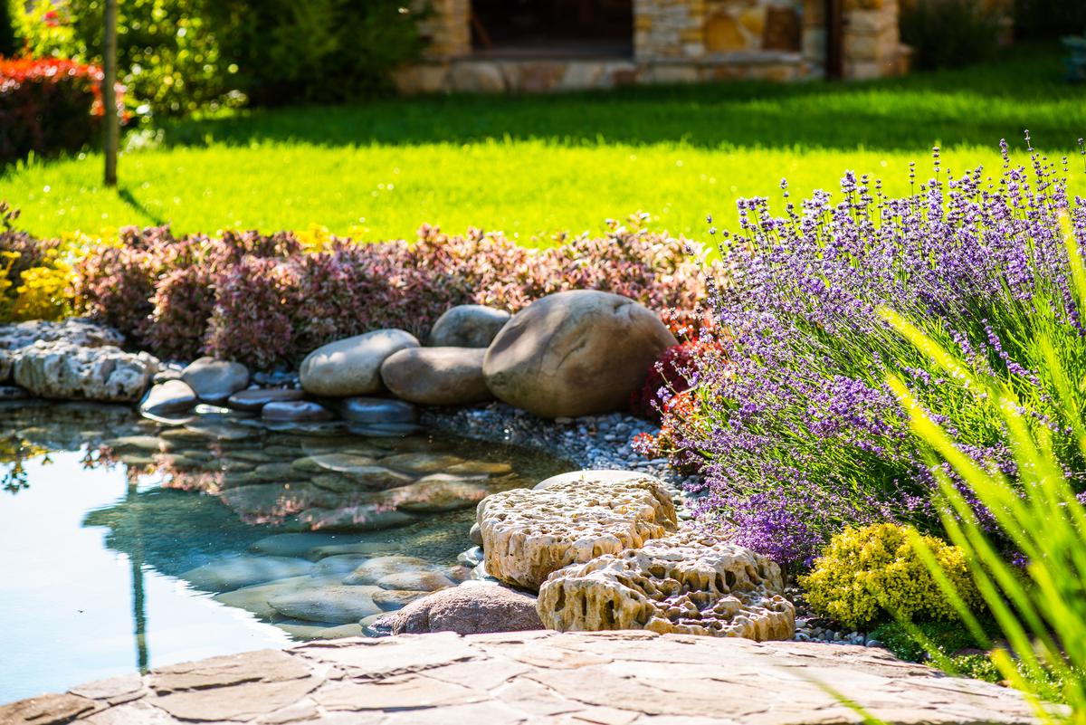 Key Features That Form a Yard’s Landscaping