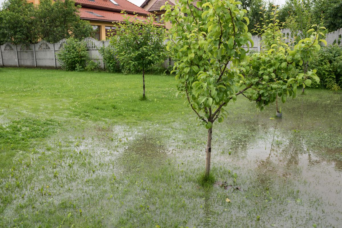 Leaky drainage can potentially lead to swampy backyards.