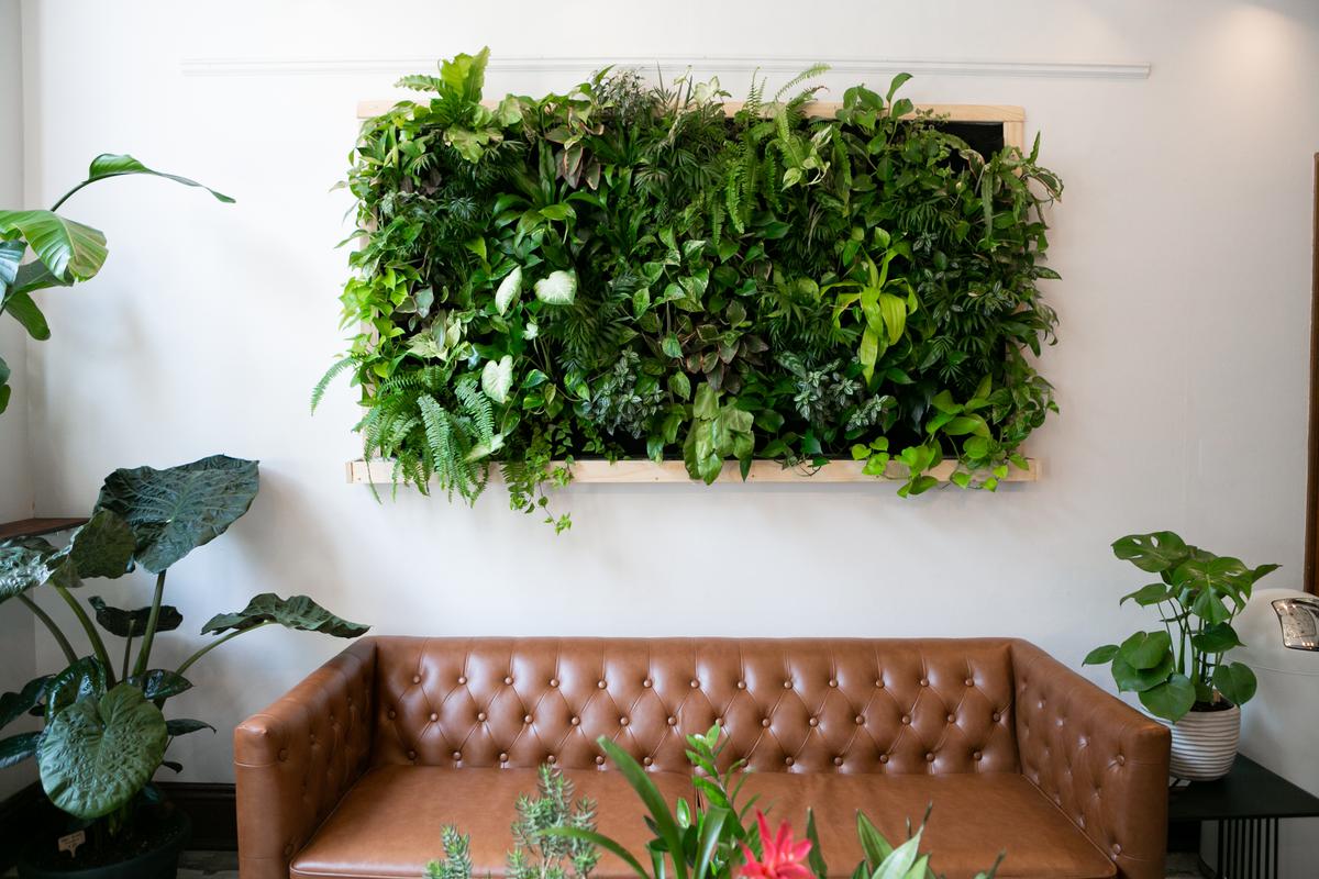 A vertical garden is a more sophisticated alternative to living moss walls.