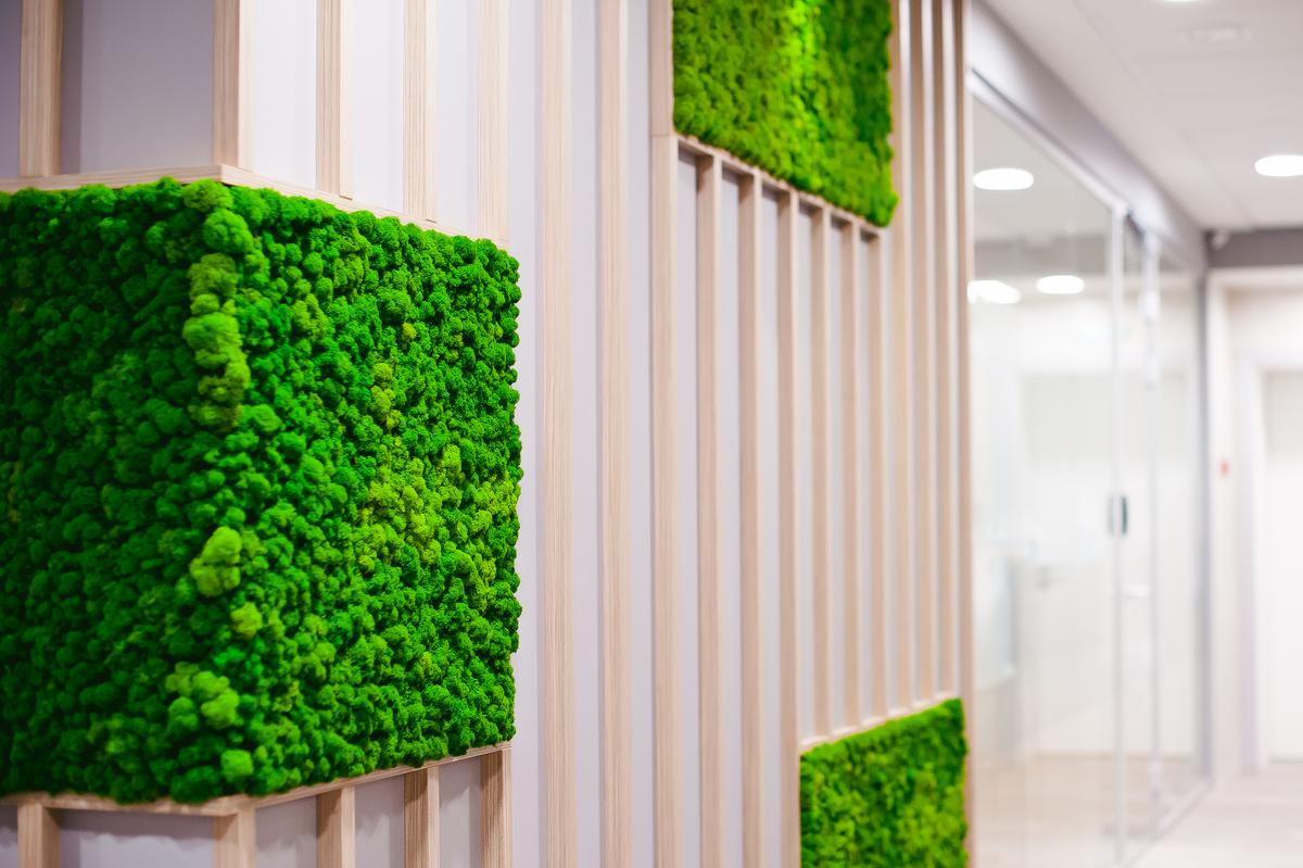 A living moss wall offers a range of benefits, from improving air quality to providing visual interest. evgeniykleymenov/Shutterstock.com