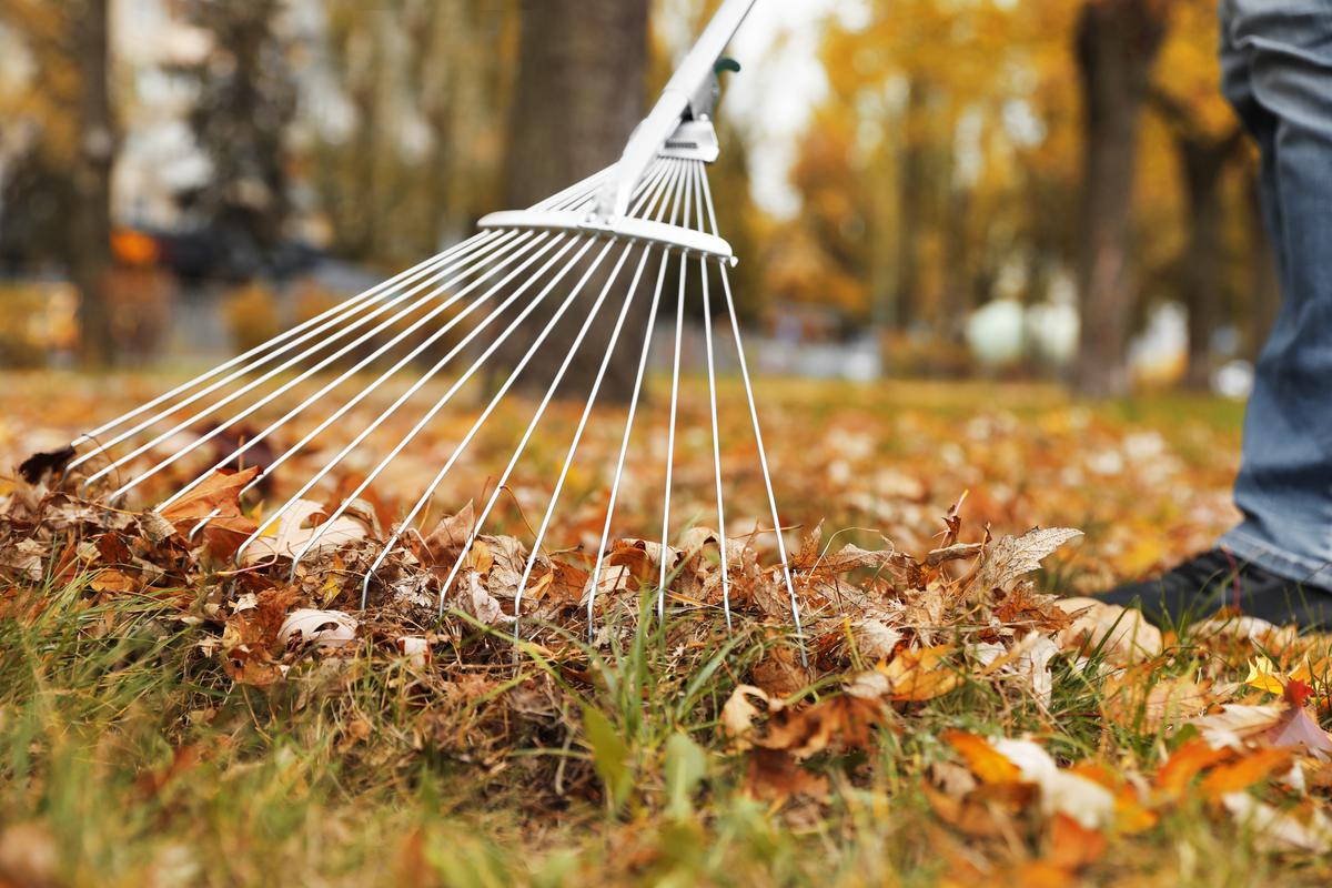 Maintaining Your Backyard Throughout the Winter Will Help Keep It in Good Condition