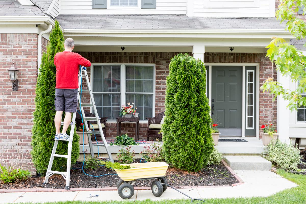 Maintenance Tasks That Keep Your Backyard in Good Shape