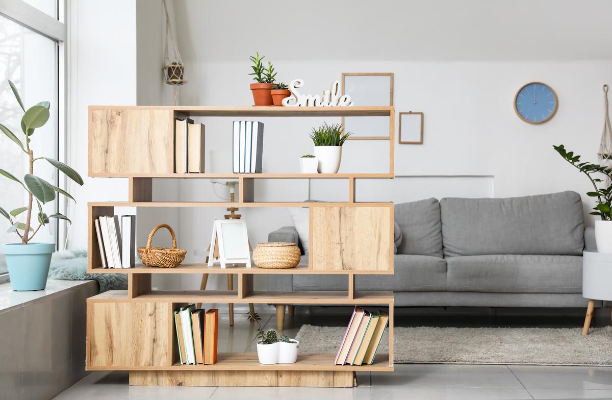 Minimally Designed Bookshelves Can Be Aesthetically Pleasing