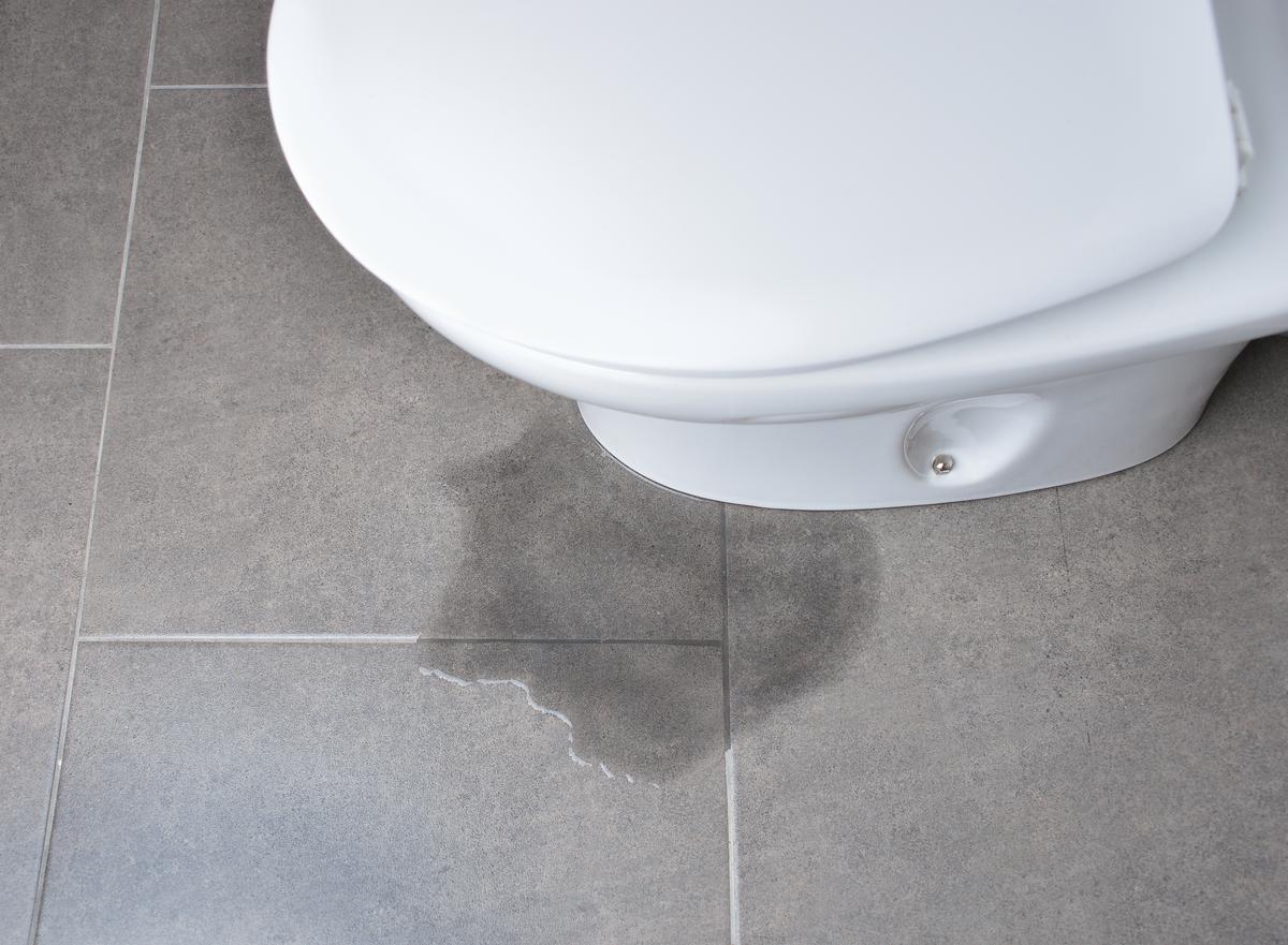 How To Get Rid Of The Sewer Smell Around Toilets