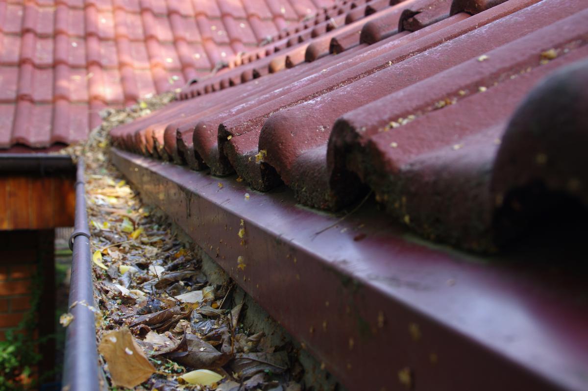 Outdoor Maintenance Tasks You Need to Catch Up On