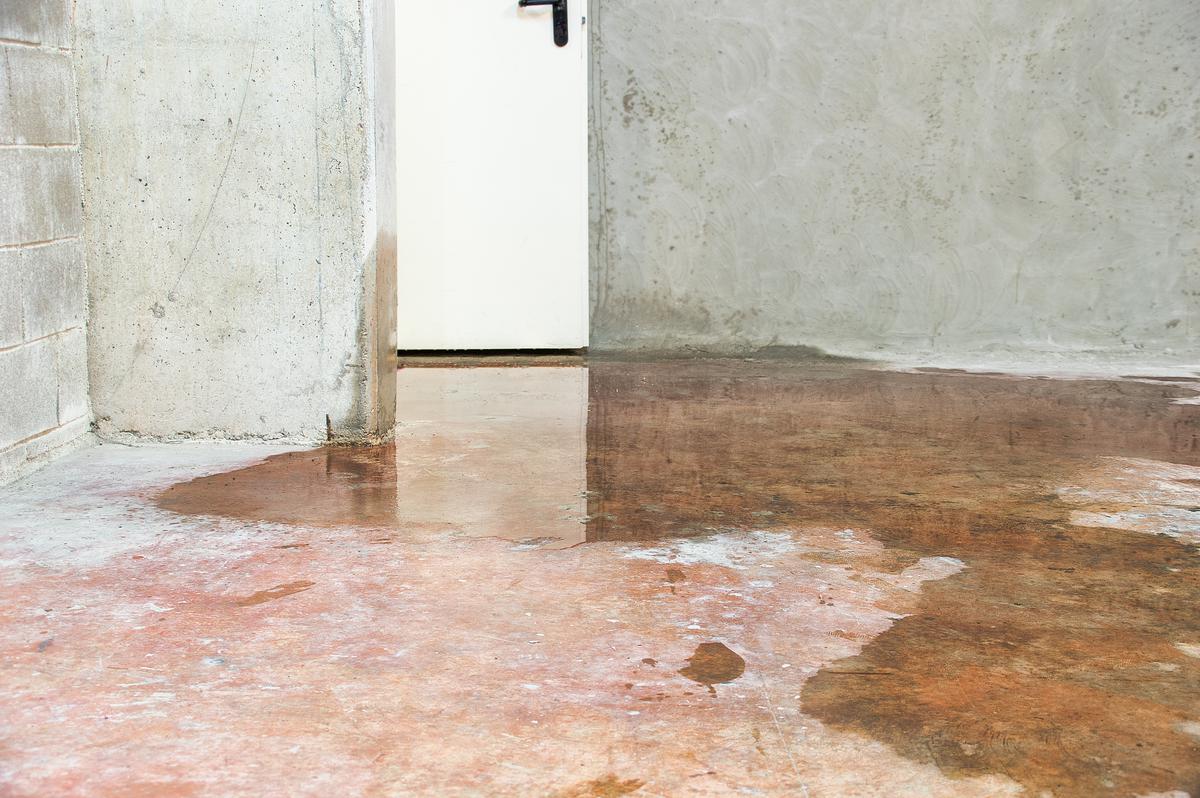 Pay Special Attention and Inspect Your Basement for Any Faults Before Carrying Out Any Type of Work