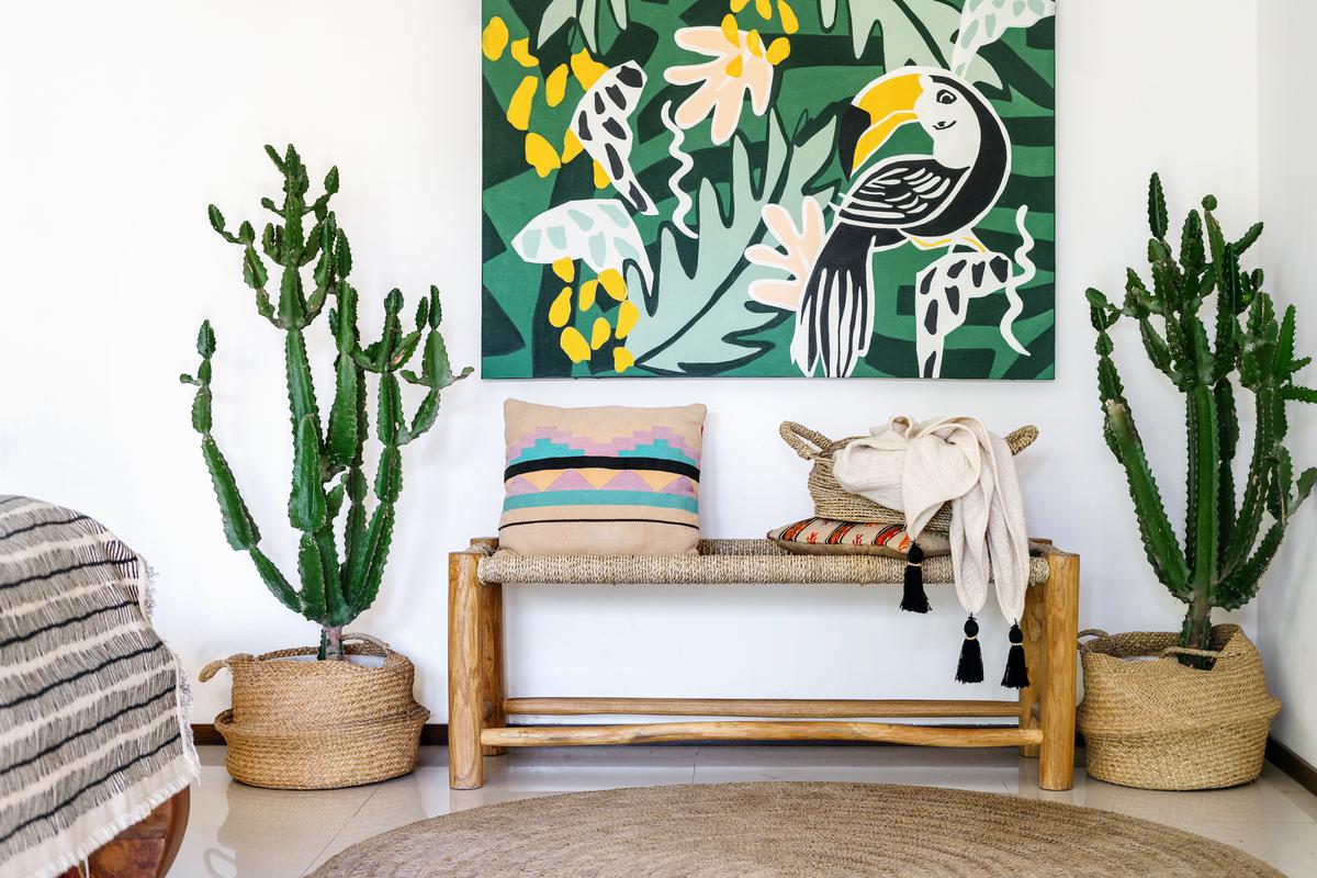 Plants Add Texture to the Design