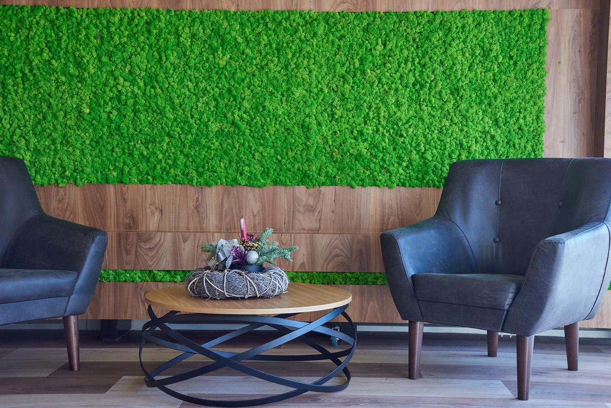 What are the common types of moss you can use for a DIY living wall?