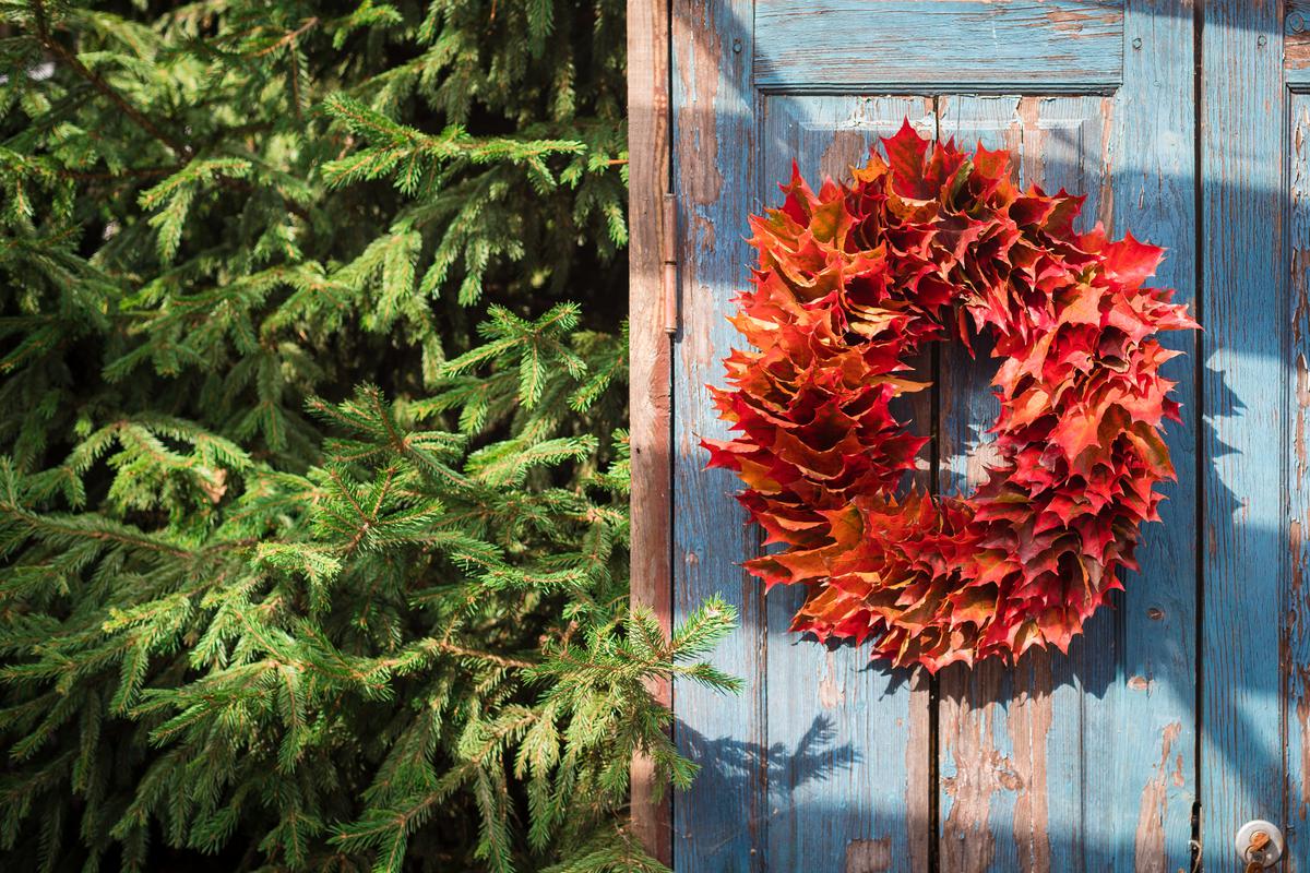Preserving Fall Leaves Could Enhance the Way Your Home Looks, in a Natural Way