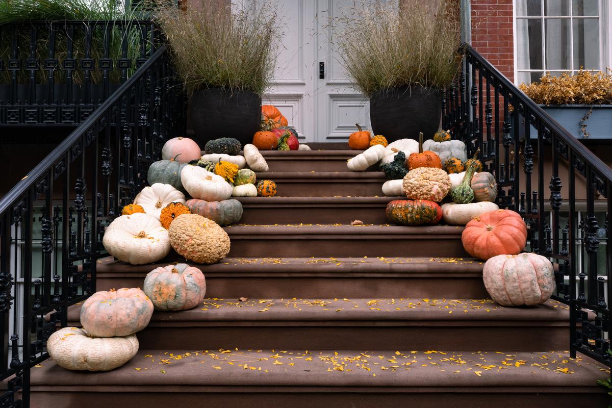 Pumpkins are the epitome of fall. Add a few of them at the entrance of your house to complete the fall decor look.