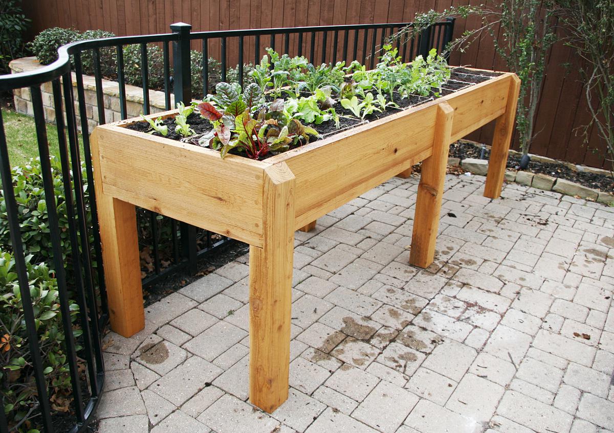 Elevate Your Gardening: Creative Raised Garden Bed Ideas