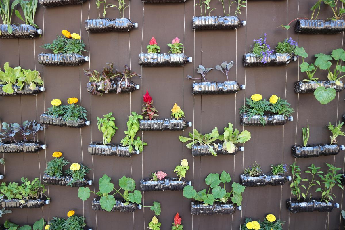 Recycle and Garden In One Single Project