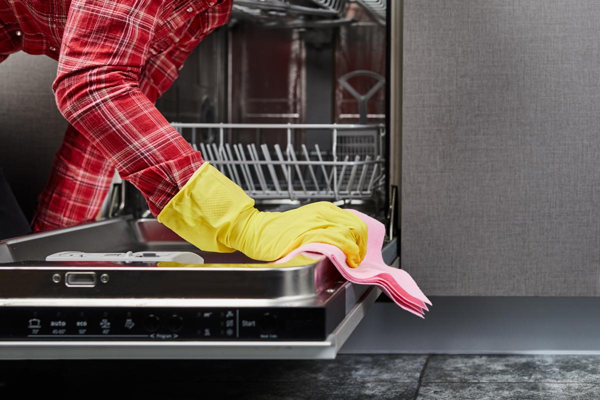 Run the Dishwasher on an Empty Cycle to Clear It up of Unpleasant Odors