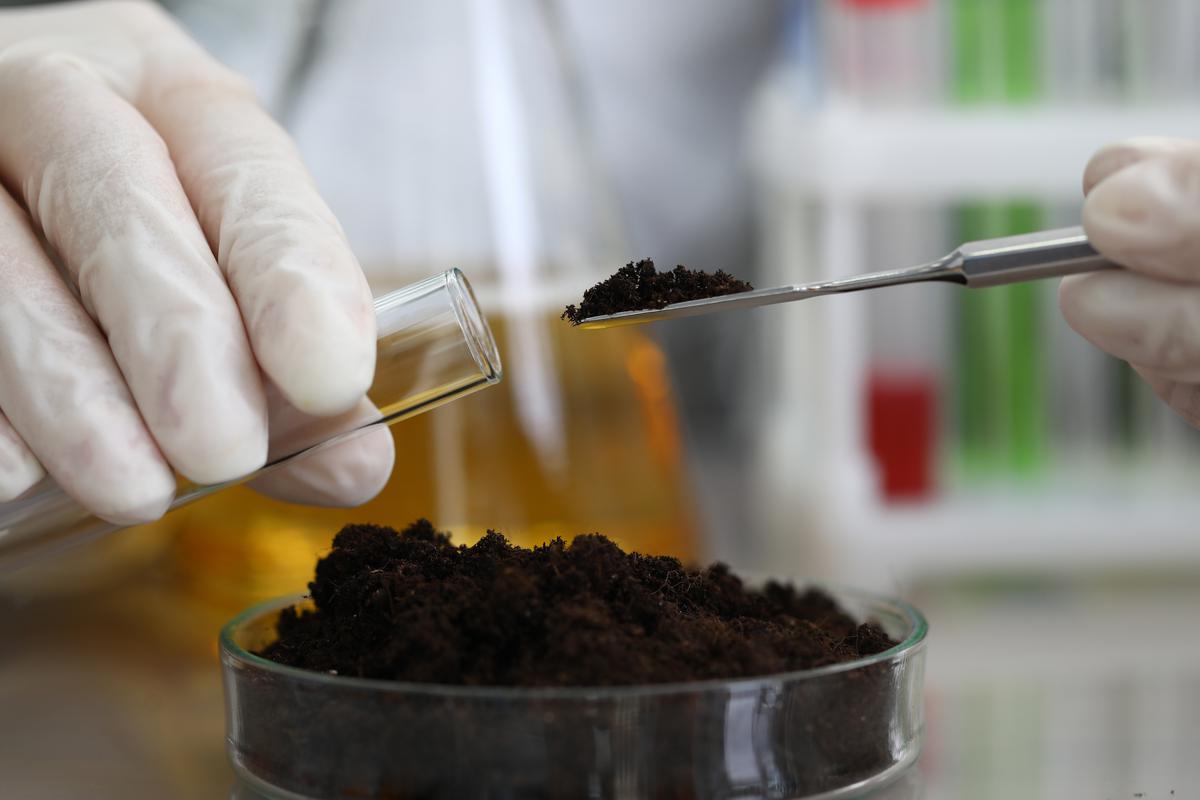 Sending Samples to Labs Might Be an Affordable Option for Inspections