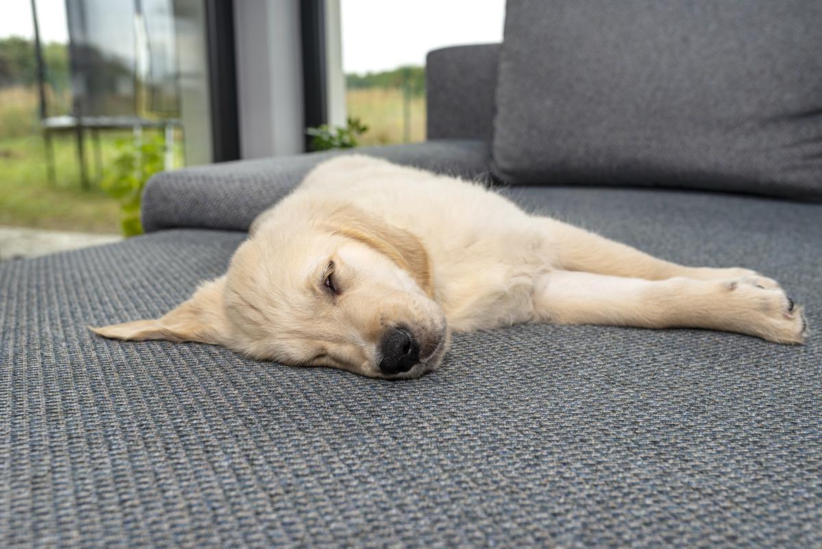 Soft Furnishing Materials That Don’t Break the Bank