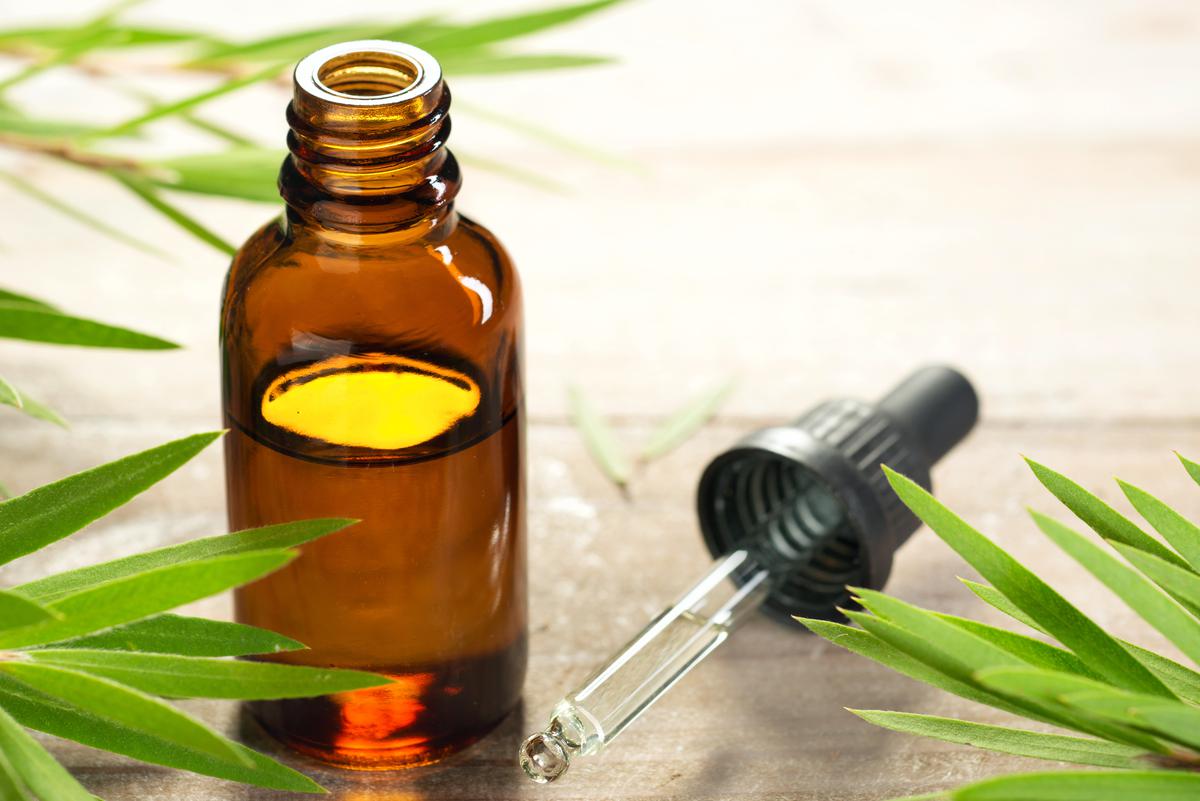Tea Tree Oil Is Organic and Safe to Use