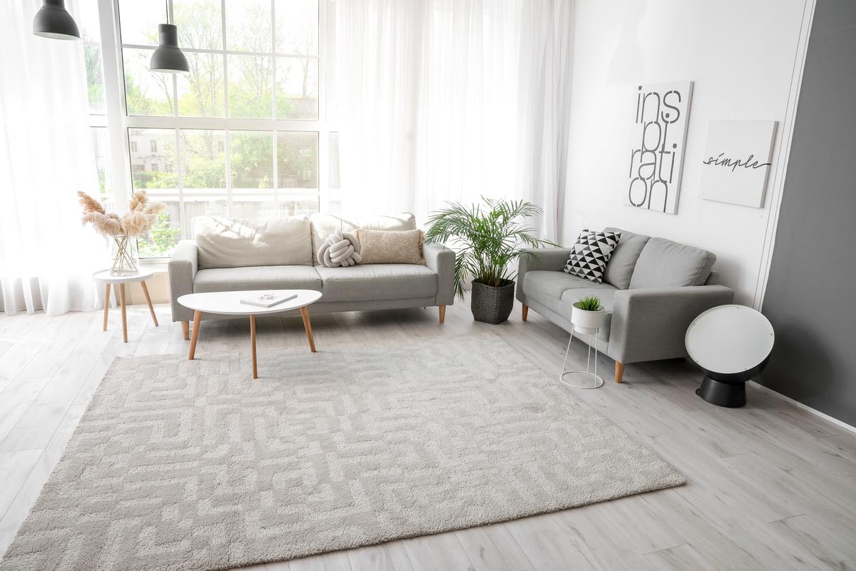 Textured Carpets Are Common Among Many Households