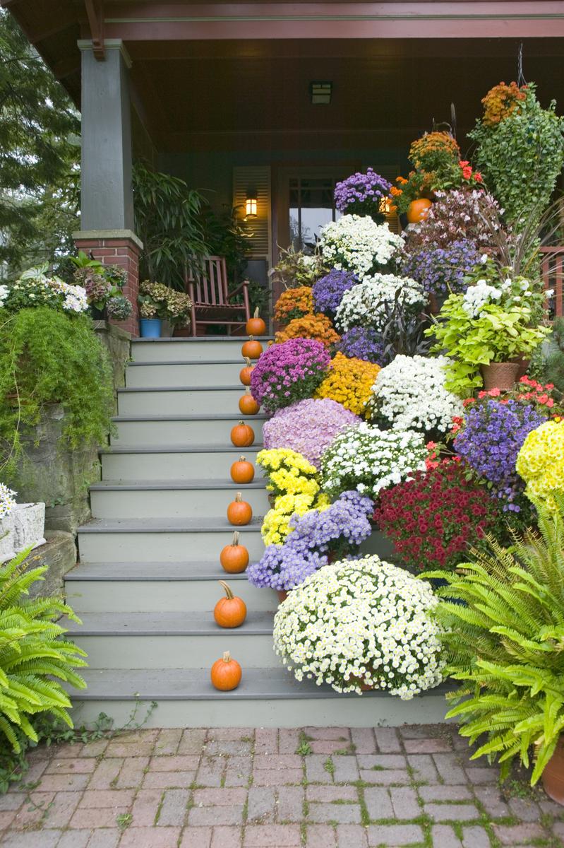 The Surprising Assortment of Fall Colors to Decorate With