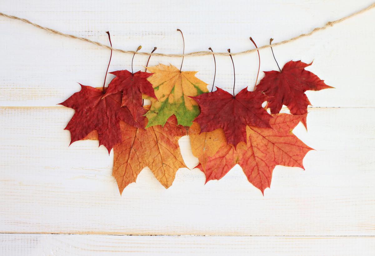 There Are Many Simple Ways to Get Creative With Fall Leaves