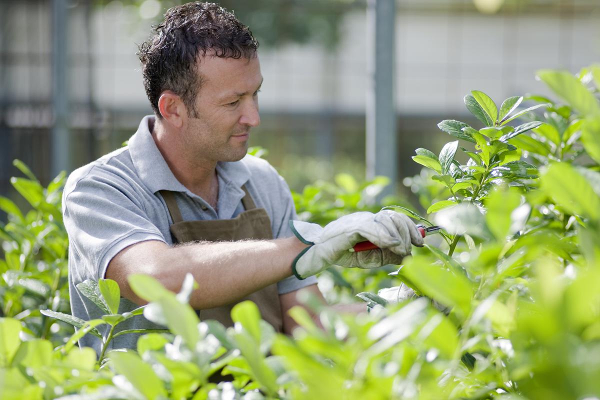 Translate Your Ambitious Garden Plans Into Reality