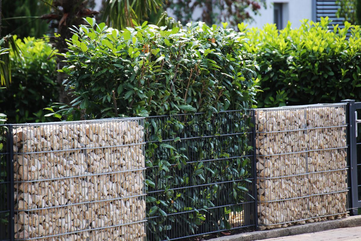 Trendy Choices for Your Home's Fencing