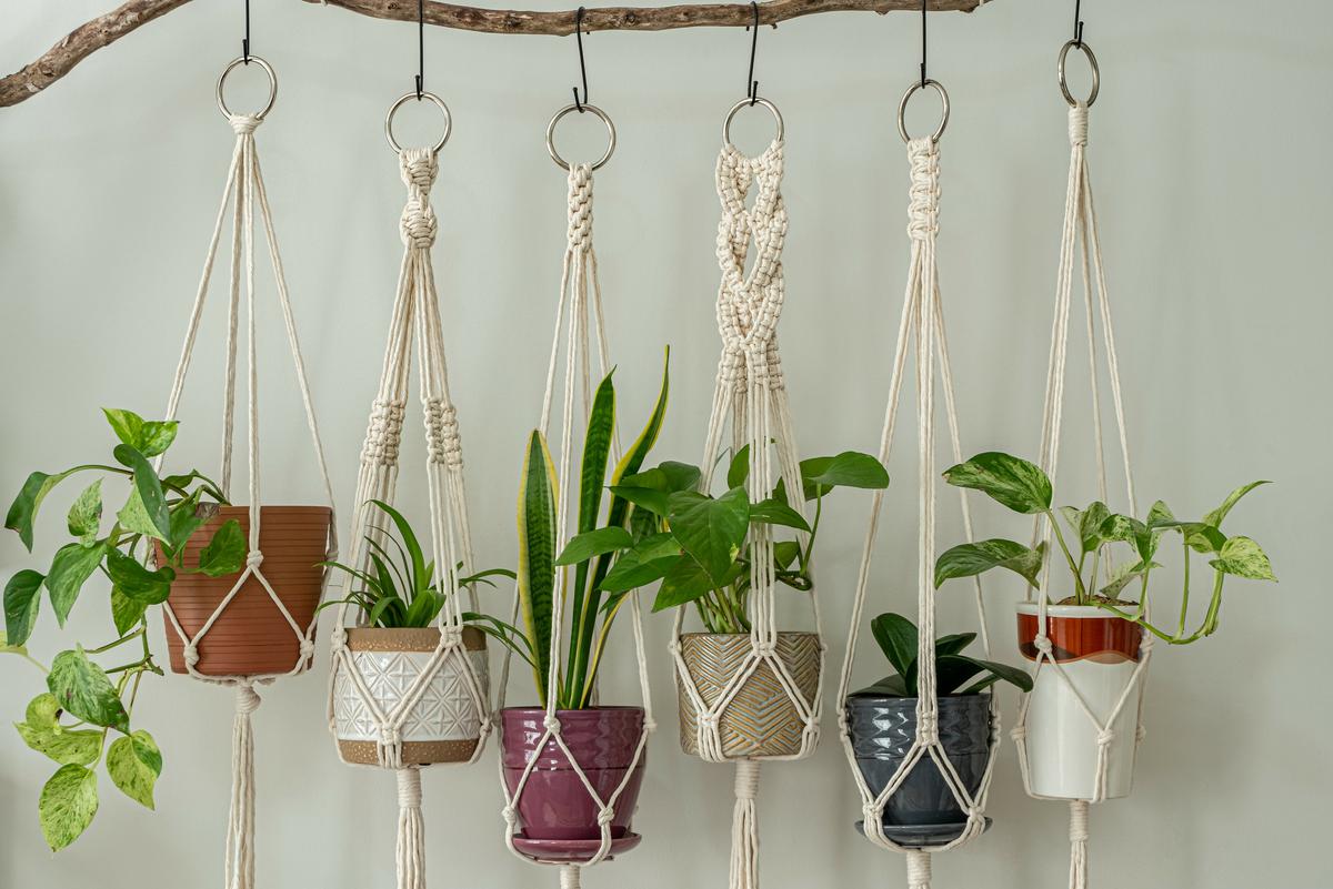 Trendy Ways to Display Your Indoor Greenery