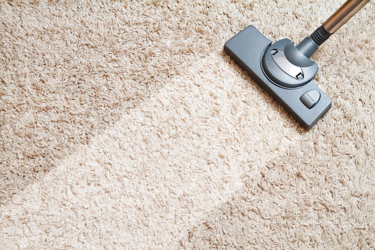 Two Carpet Cleaning Solutions to Have On Your List