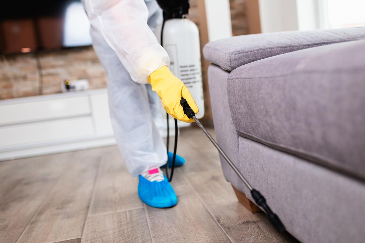 Pest control technicians specialize in the efficient and effective removal of any and all pests that can infest your home.