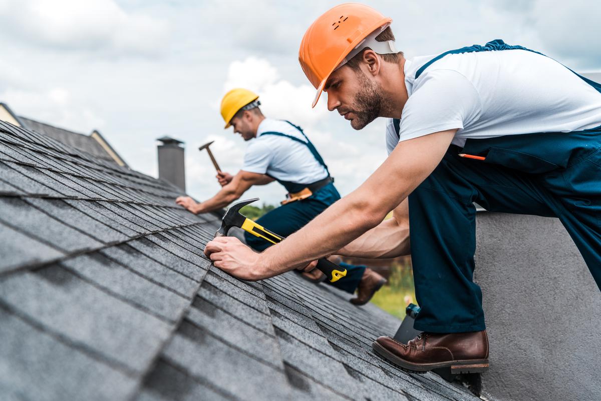 What Roofing Professionals Bring to the Table