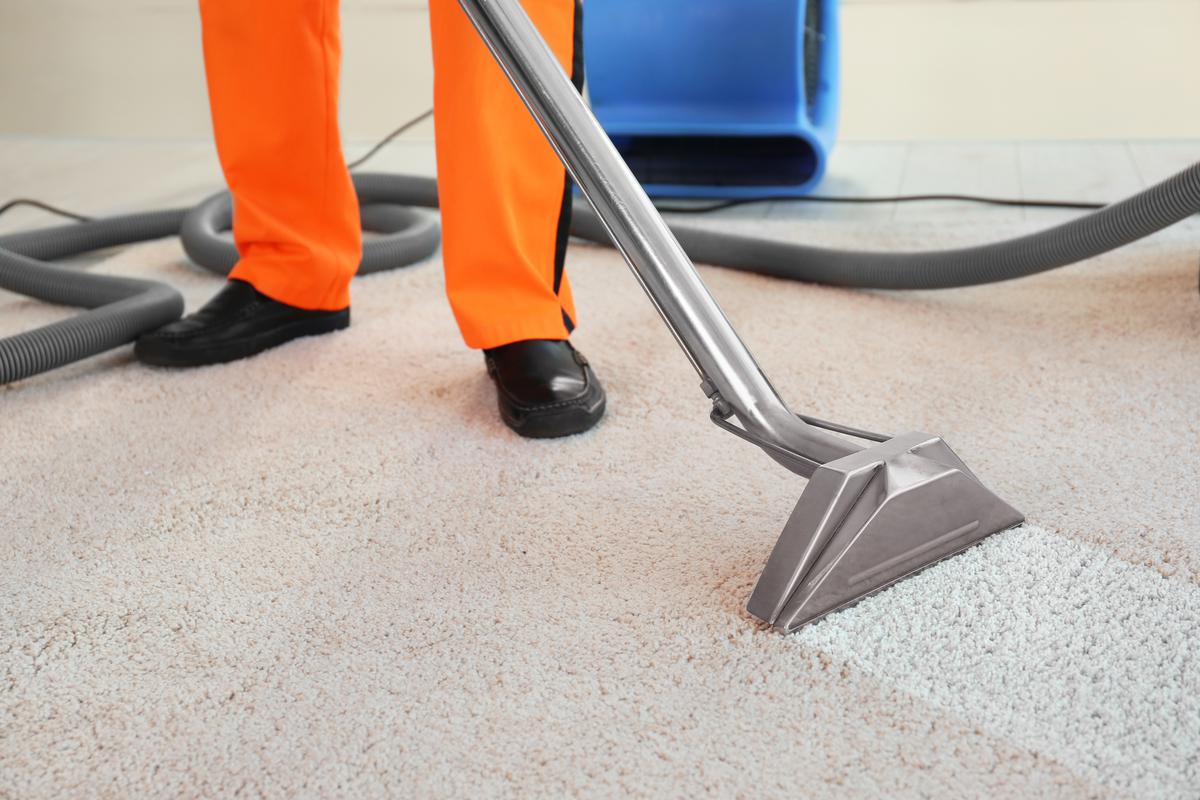 When You Should Call In the Pros to Handle the Carpet Cleaning