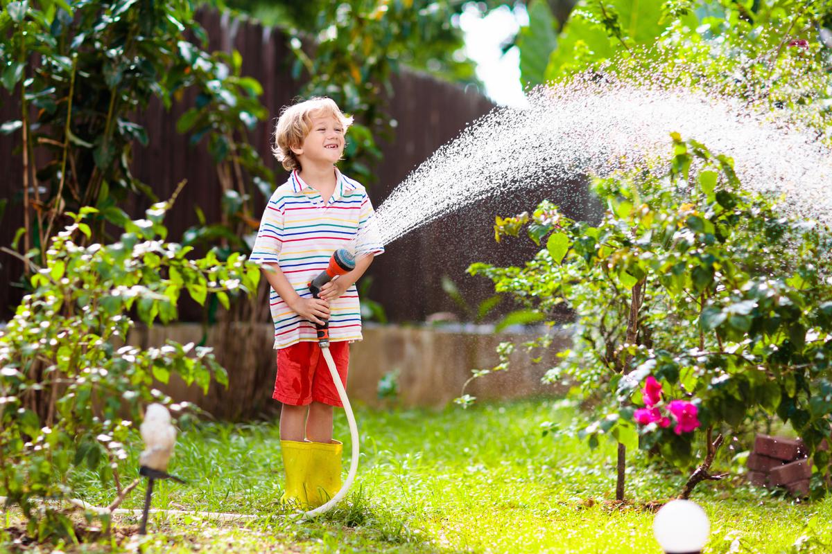 When and How Often to Water Your Lawn