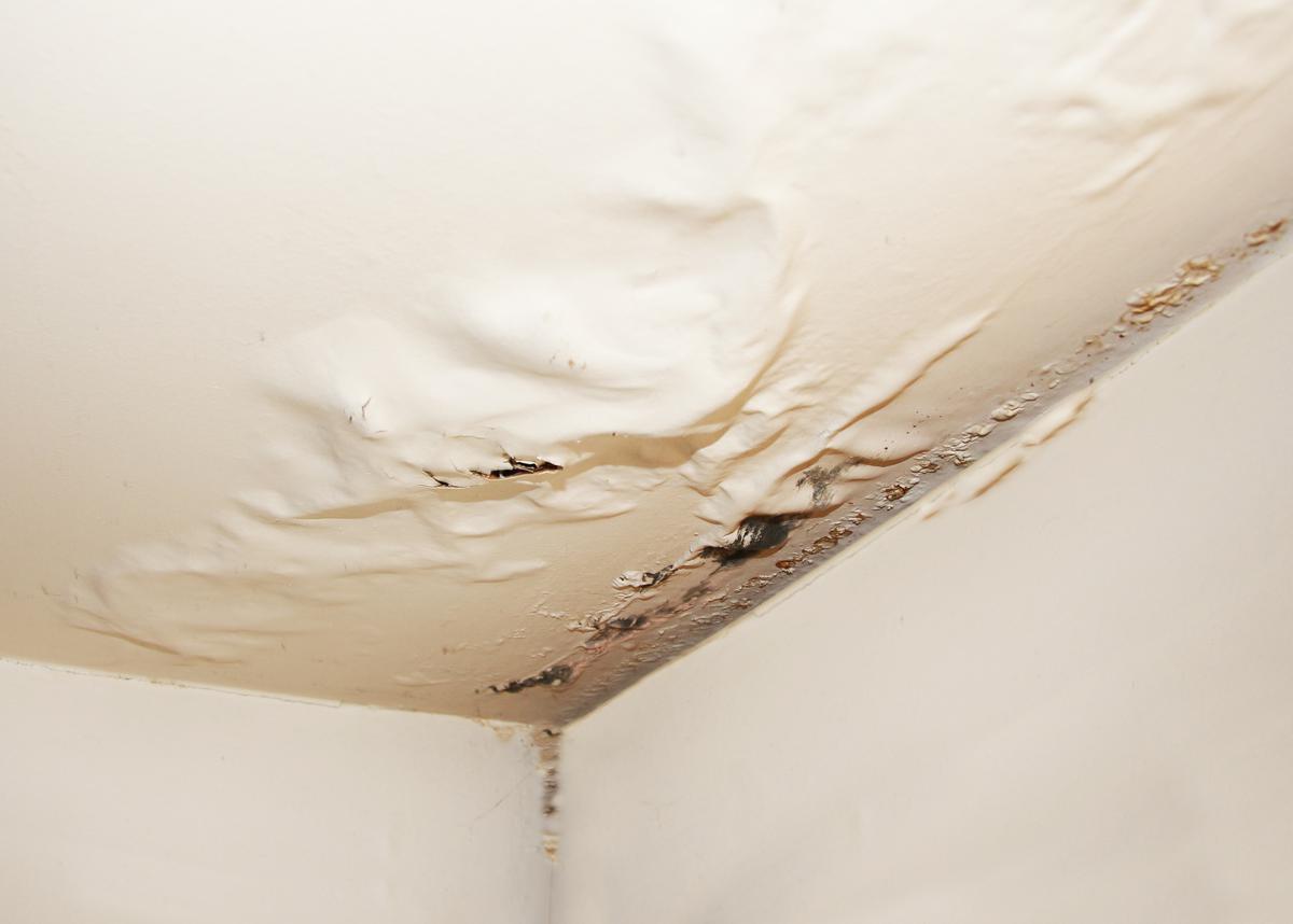 Who to Call When Your Ceiling Is Puffing Up