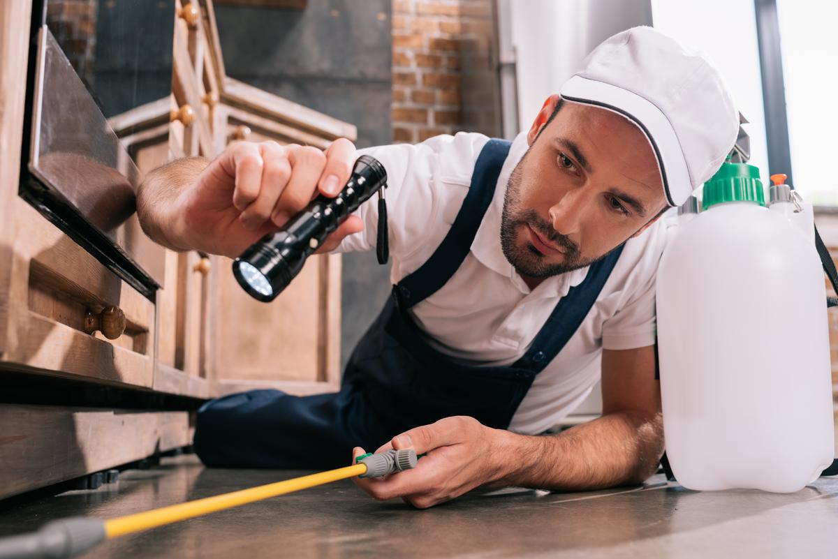 Why It’s Important to Hire a Professional Home Inspector