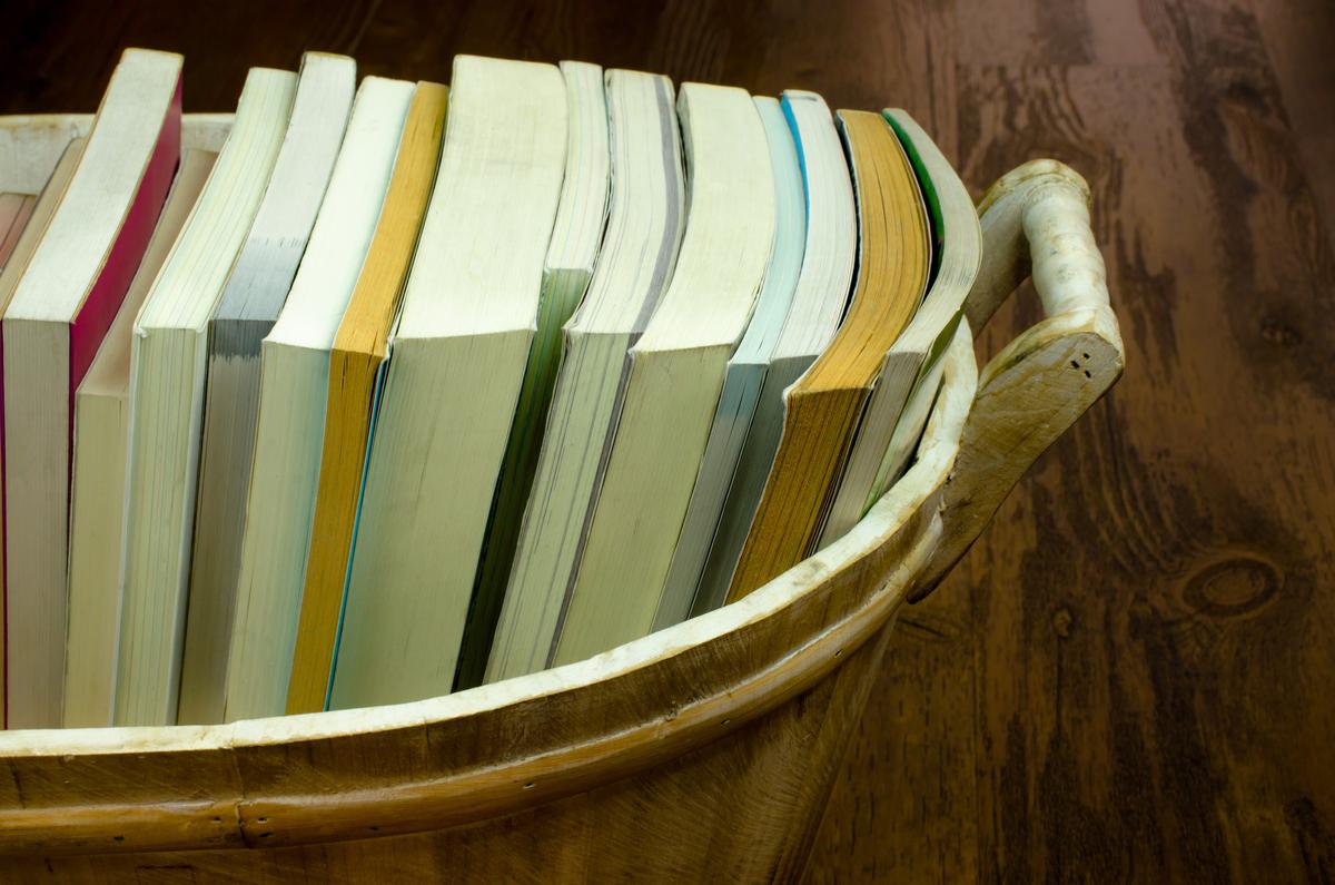 Why Some Homeowners Put Their Books Inside Baskets