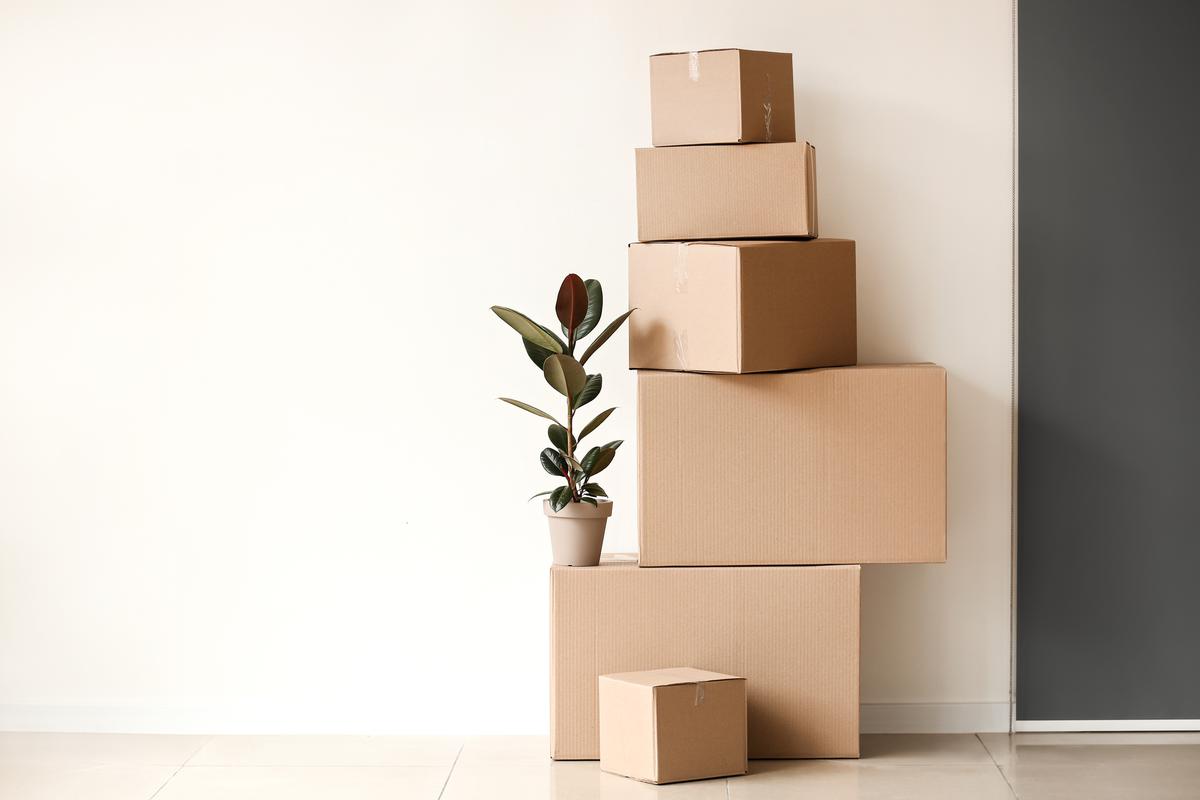 Why You Should Check All Your Boxes for Packing