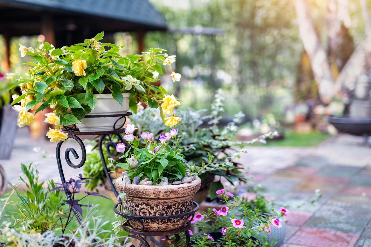 Why You Should Keep Your Plants in Check