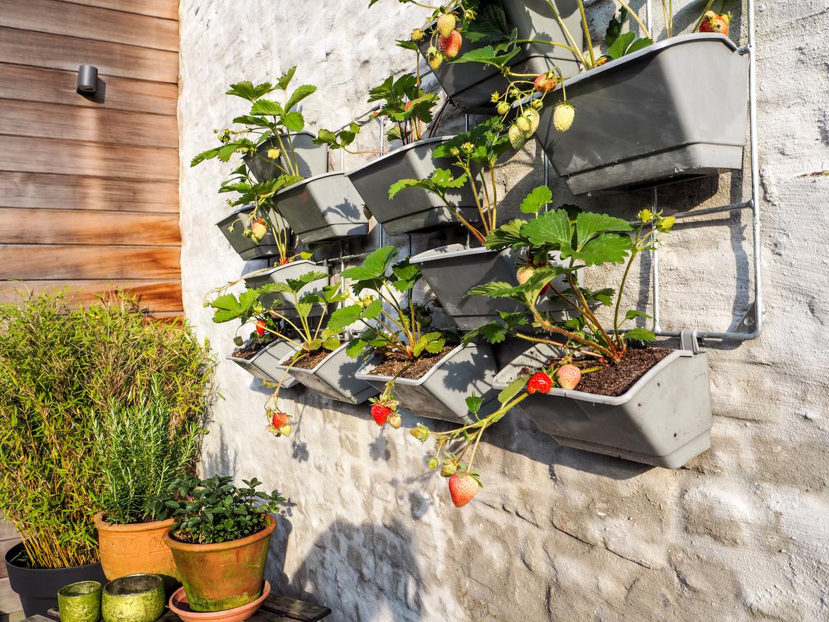 Why You Shouldn’t Overlook Outdoor Vertical Spaces