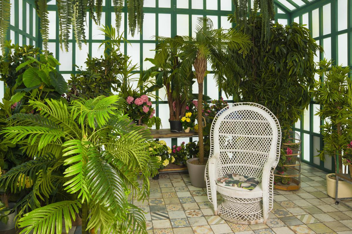 A Greenhouse Sunroom Can Be A Place to Relax for You and Your Plants
