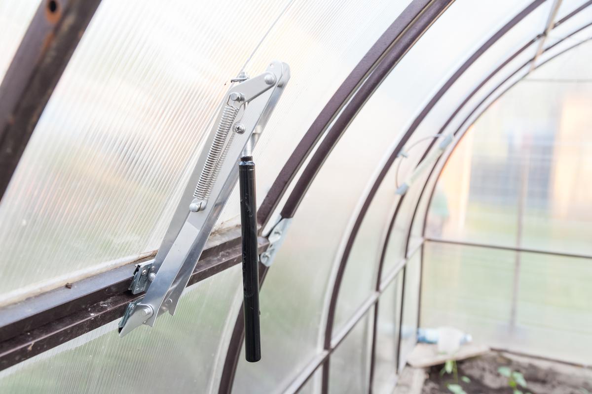 Advantages of Building A Greenhouse Yourself