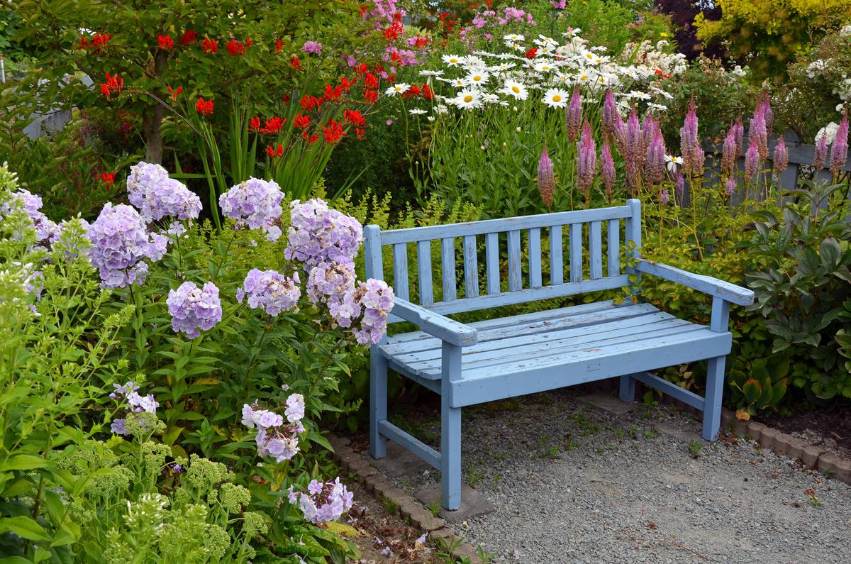 Best Plants to Grow In Your Garden