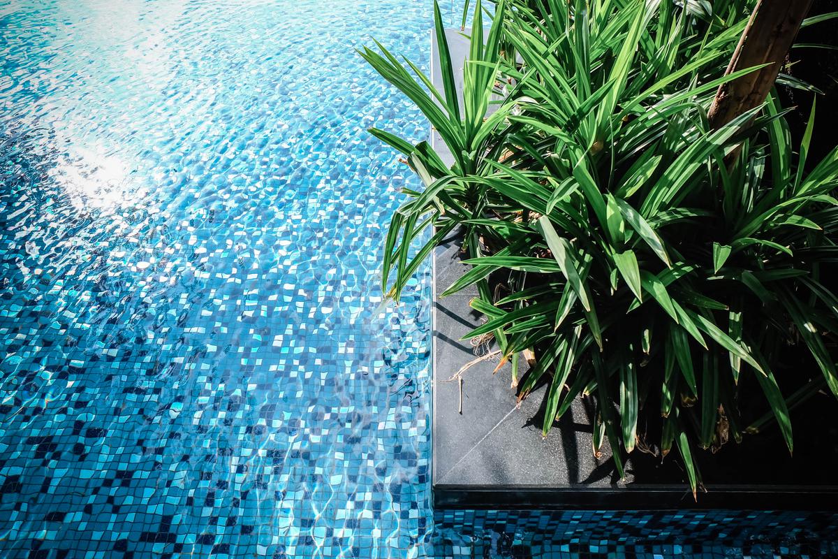 Bringing In Biophilia Is the Perfect Budget-Friendly Pool Addition Project