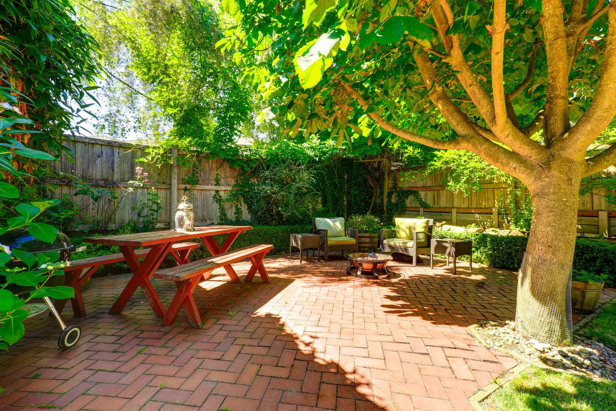 Creating Windbreaks In Your Garden So that the Good Times Aren't Gone With the Wind