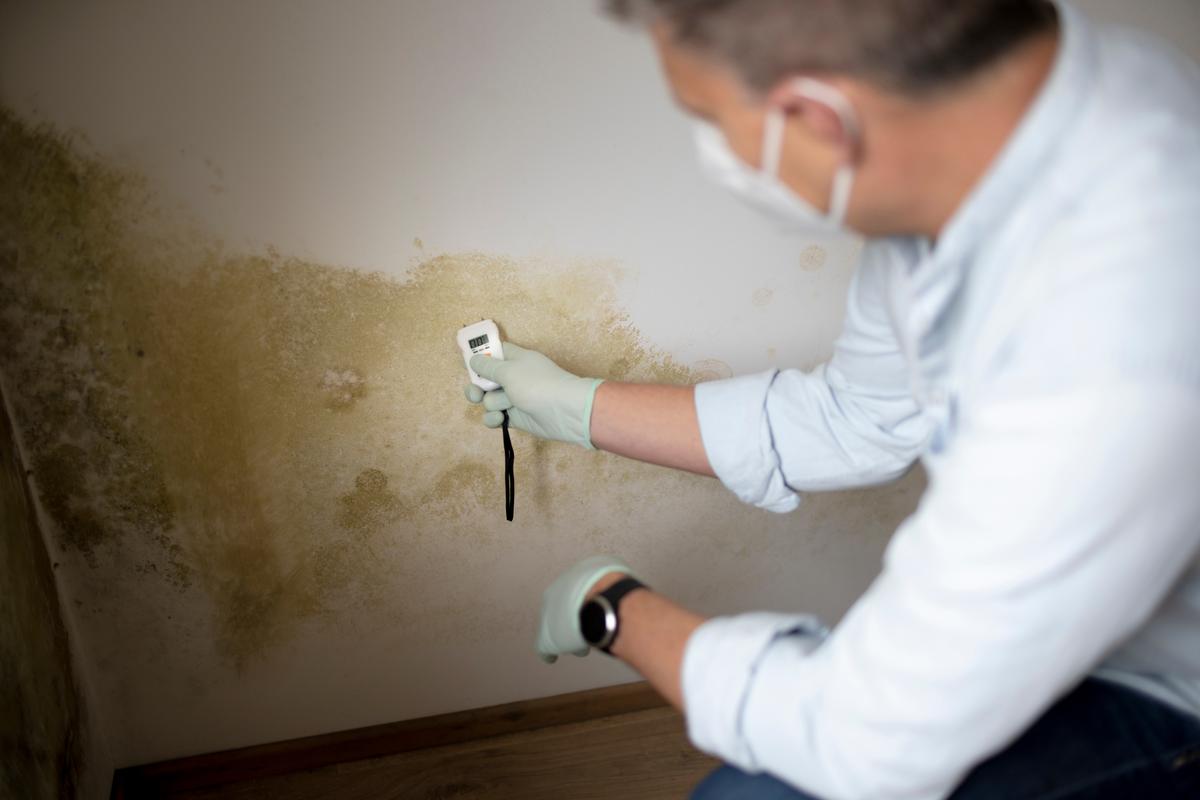 Detecting mold in your home? Follow these steps to test effectively and ensure a safer living environment.